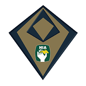 HIA Award 300 x 3001